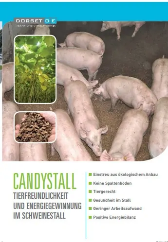 DORSET-Folder: Tierfreundlichkeit im Schweinestall